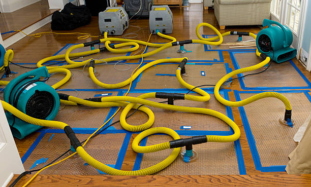 Professional Crawl Space Water Removal technician working in Rochdale, MA